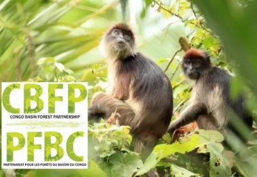 19th CBFP meeting of Parties in Libreville