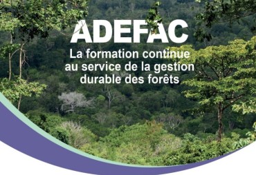  ADEFAC : Training of trainers for continuing training for the private sector of the wood industry in Gabon