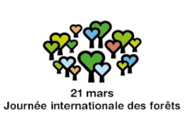 International Day of Forests