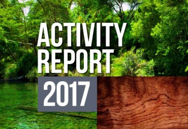 Rapport d'activité 2017