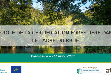 Formation - Le rôle de la certification forestière dans le cadre du RBUE