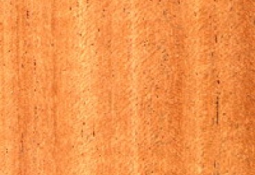 Acajou d'Afrique