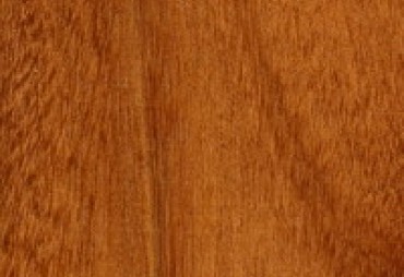 Afrormosia