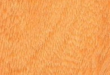 Bodioa