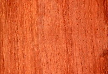 Bubinga