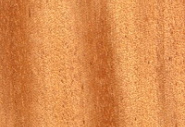 Igaganga