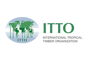 OIBT - ORGANISATION INTERNATIONALE DES BOIS TROPICAUX