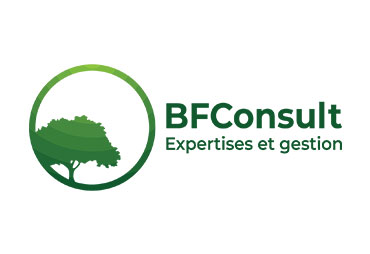 BFCONSULT