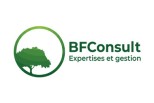 BFCONSULT