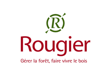 ROUGIER AFRIQUE INTERNATIONAL