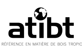 L’ATIBT recherche un/une stagiaire communication trilingue (mandarin / anglais / français) pour accompagner le projet Tropical Timber Trade (TTT)
