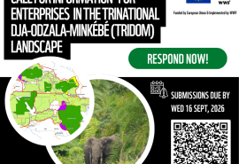 WWF/NaturAfrica: Call for Green Economy Opportunities in the TRIDOM Landscape 