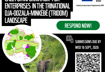 WWF/NaturAfrica: Call for Green Economy Opportunities in the TRIDOM Landscape 