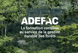 13 job-competence sheets already validated by the actors of the forestry sector in Congo