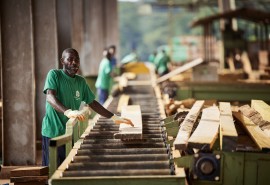 Commission Forêt et Industrie du 11 septembre dernier : mise en œuvre de la CITES et évolution des modèles de gestion forestière 