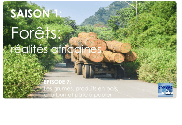 Un podcast à ne pas manquer : Forêts tropicales, réalités africaines