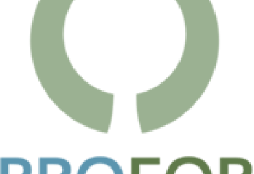 PROFOR : The study report on domestic markets is online