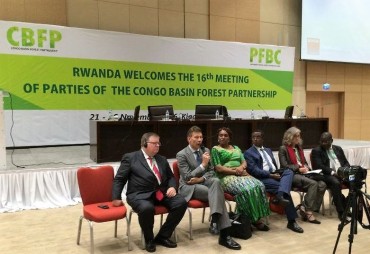Reorganisation of the Congo Basin Forest Partnership