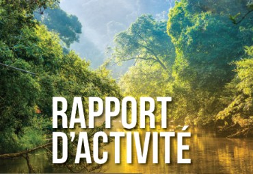 Our activity report 2016 is online!