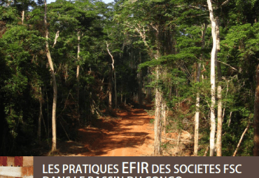 L’ATIBT publie une étude sur les pratiques EFIR des sociétés FSC du bassin du Congo