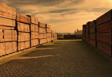 Bienvenue à notre nouvel adhérent : Lumber (Portugal)