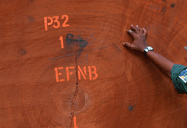 Elaboration de la norme ISO/DIS 38200 : Chaîne de contrôle des produits en bois et à base de bois
