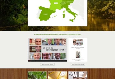 Site web MyTropicalTimber.org