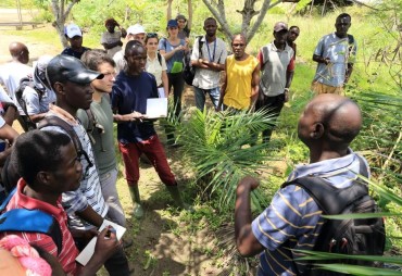 Gembloux Agro-Bio Tech/USTM : Specialization module in tropical forestry