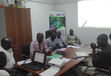Congo: FAO Project: SMEs-SMIs get involved in developing simplified forest management plans.