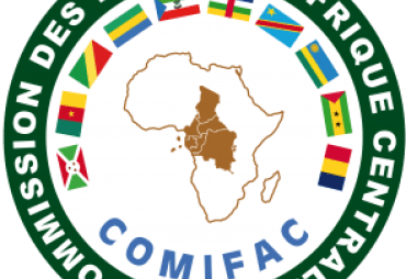 COMIFAC : Appel à manifestation d’intérêt pour le recrutement d’un consultant individuel – Expert en Gouvernance Forestière au Secrétariat Exécutif de la COMIFAC