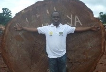 A new coordinator for the ATIBT-Congo FAO project