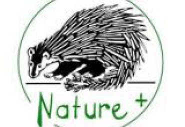 OFFRE D’EMPLOI : l’absl Nature + lance un appel à candidature pour un poste de Gestionnaire de Projet en CDD pour 1 an, à pourvoir à partir de début février 2020