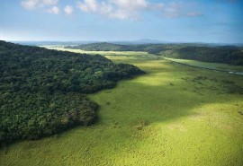 Réunion du Groupe National sur les Forêts Tropicales (GNFT) , le mardi 11 février 2020 à Paris