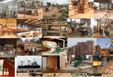 Overview of the private sector players in the Forest-Wood sector in Gabon