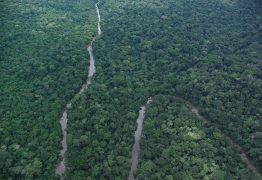 How to protect the forests of the Congo Basin