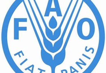 Boosting partnership between FAO and the private sector