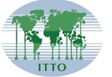 FLEGT dans rapport sur le marché des bois tropicaux – OIBT Volume 24 Numéro 9 – Mai 2020