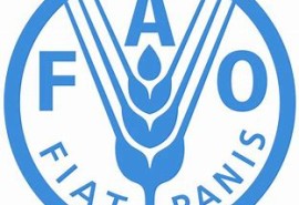FAO- Evaluation des ressources forestières mondiales 2020 – FRA 2020