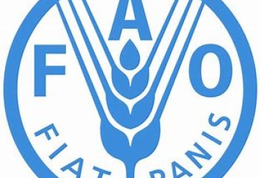 FAO – Global Forest Resources Assessment 2020 – FRA 2020