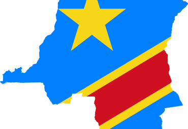 DRC: ADOPTION OF MEASURES TO COMBAT ILLEGAL ARTISANAL TIMBER
