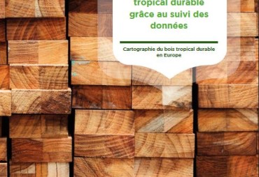 Encourager la croissance du marché du bois tropical durable grâce au suivi des données du marché