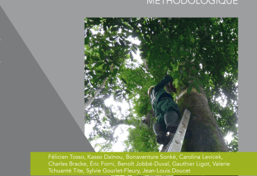 Un nouveau guide pratique pour soutenir l’aménagement durable des forêts d’Afrique centrale