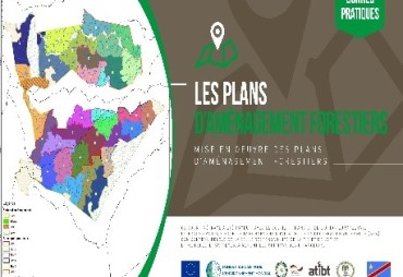 Mise en œuvre des activités des projets FLEGT REDD CERTIFICATION en RDC