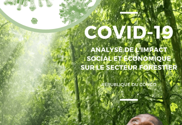 L’ATIBT publie son étude sur l’impact de la COVID-19 sur le secteur forestier en République du Congo
