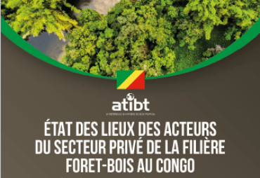 Mise à jour – Etude Etat des lieux secteur privé en République du Congo