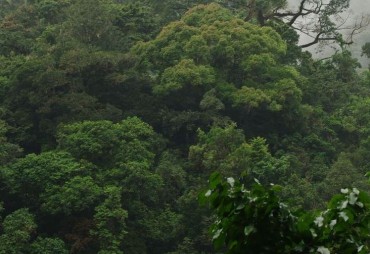 La déforestation est un choix politique, mais pas un objectif