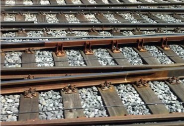 Le bois, composante de la transition ferroviaire : une rencontre au siège de l’UIC à Paris