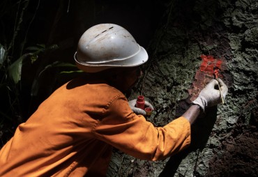 Call for tenders-Technical assistance for PAFC forest certification