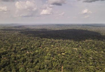 A look back at the participatory workshops organised by the Forest Preservation Alliance, based on the WRI's 2023 deforestation figures.