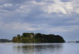 La Commission Carbone & Biodiversité a publié sa 10e veille